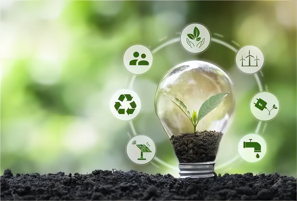 Environmental protection, regeneration, and sustainable development